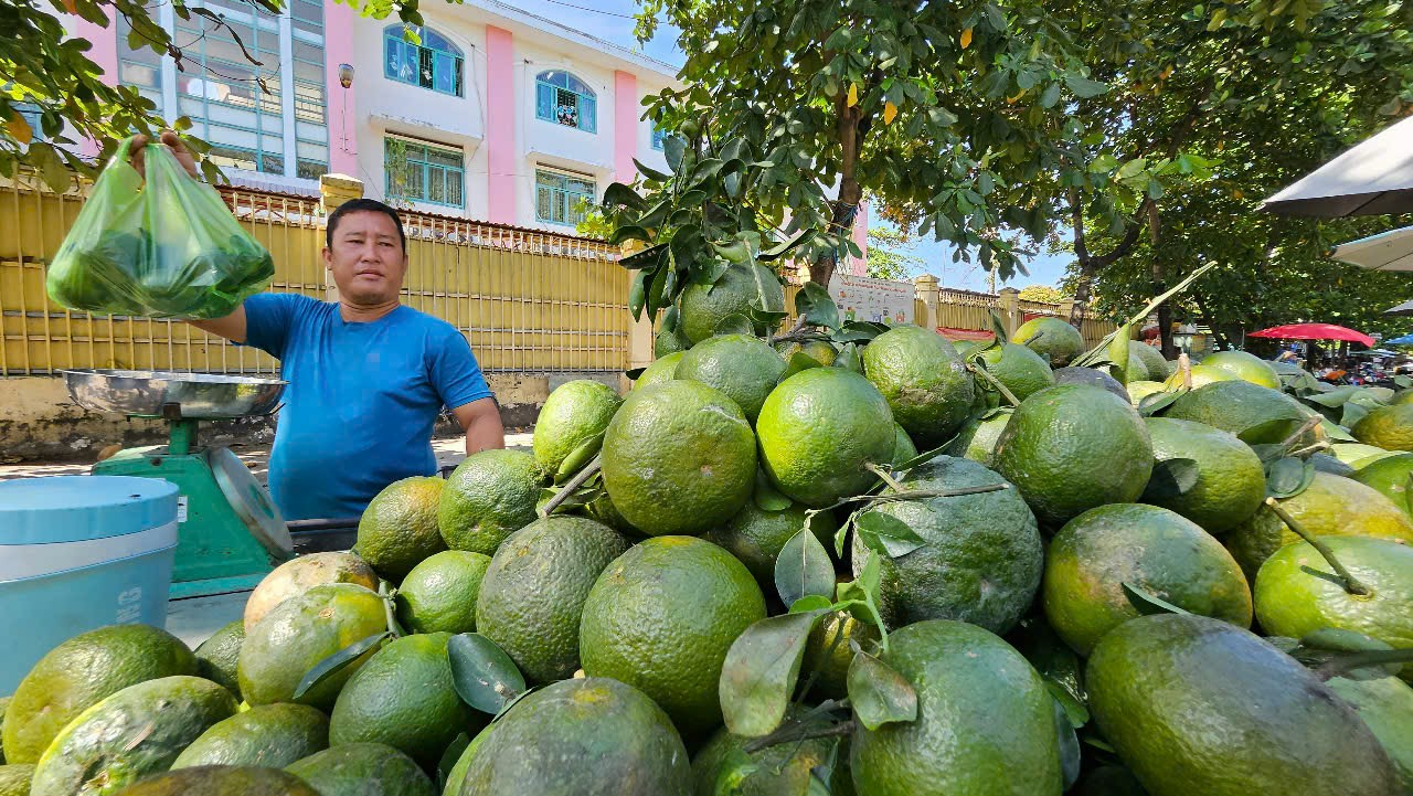Cam sành được "giải cứu" tại TP HCM- Ảnh 2. Cam sành được "giải cứu" tại TP HCM- Ảnh 2.
