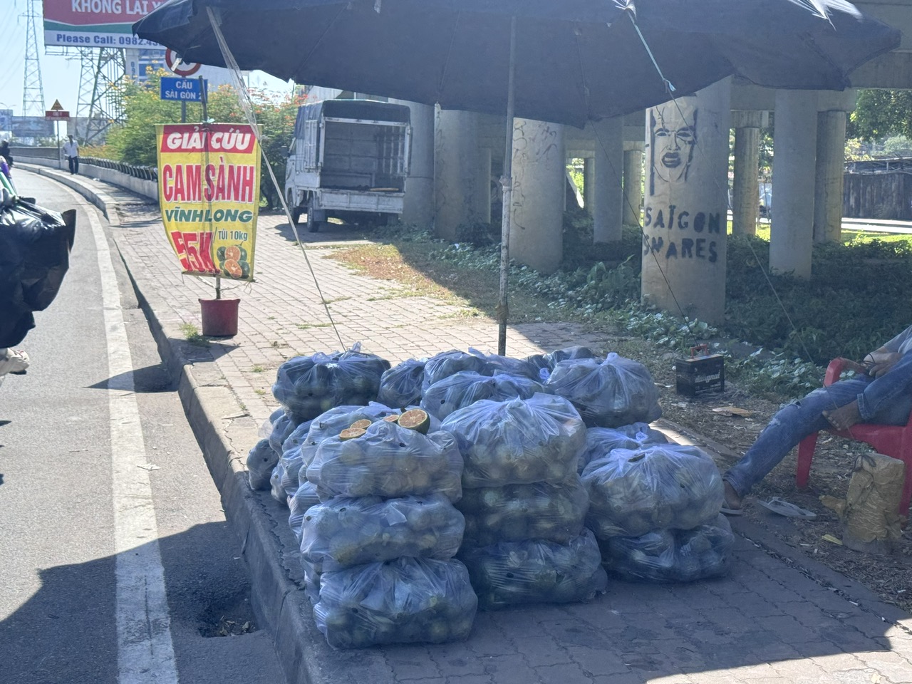 Cam sành được "giải cứu" tại TP HCM- Ảnh 5. Cam sành được "giải cứu" tại TP HCM- Ảnh 5.