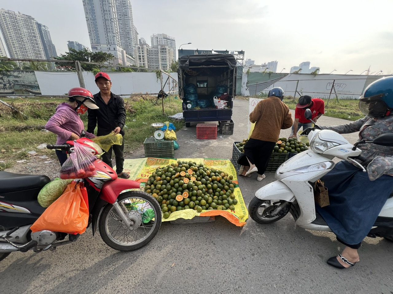 Cam sành được "giải cứu" tại TP HCM- Ảnh 4. Cam sành được "giải cứu" tại TP HCM- Ảnh 4.