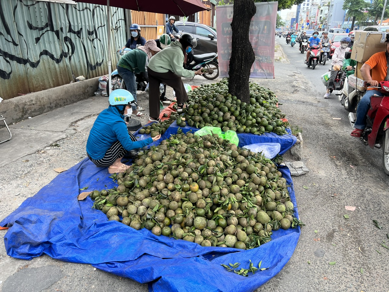Cam sành được "giải cứu" tại TP HCM- Ảnh 3. Cam sành được "giải cứu" tại TP HCM- Ảnh 3.