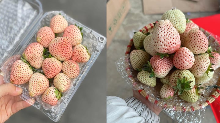 Loại quả từng có giá triệu đồng/kg nay bán rẻ bèo trên 'chợ mạng' - Ảnh 2. Loại quả từng có giá triệu đồng/kg nay bán rẻ bèo trên 'chợ mạng' - Ảnh 2.