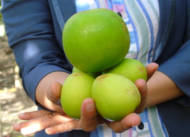 Chuyên trang ẩm thực Anh đánh giá đây là 3 trái cây tốt nhất thế giới: Việt Nam có đủ cả 3 - Ảnh 1.