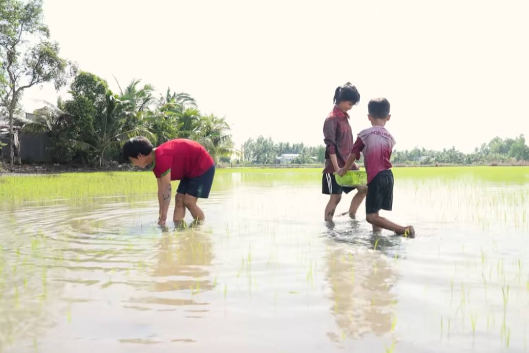 Cha mẹ bỏ đi tìm hạnh phúc riêng, 4 đứa trẻ bơ vơ tự chăm lấy nhau và câu hỏi đắng ngắt: &quot;Tại sao cha mẹ chỉ biết đẻ mà không biết nuôi dạy tụi con?&quot;- Ảnh 1.