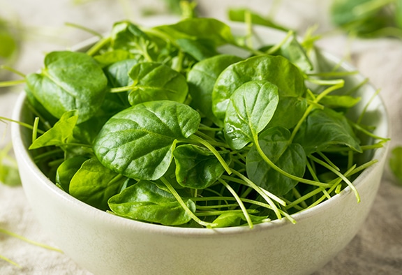 watercress-to-your-diabetes-diet576x394-1742267525701-1742267525952647243530-1742276251927-1742276252119137741460.jpg