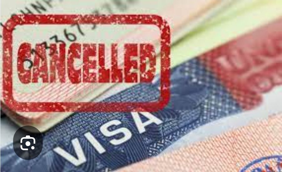 Tổng Lãnh sự quán cảnh báo người Việt về visa, thẻ xanh, nhập cảnh vào Mỹ- Ảnh 1.