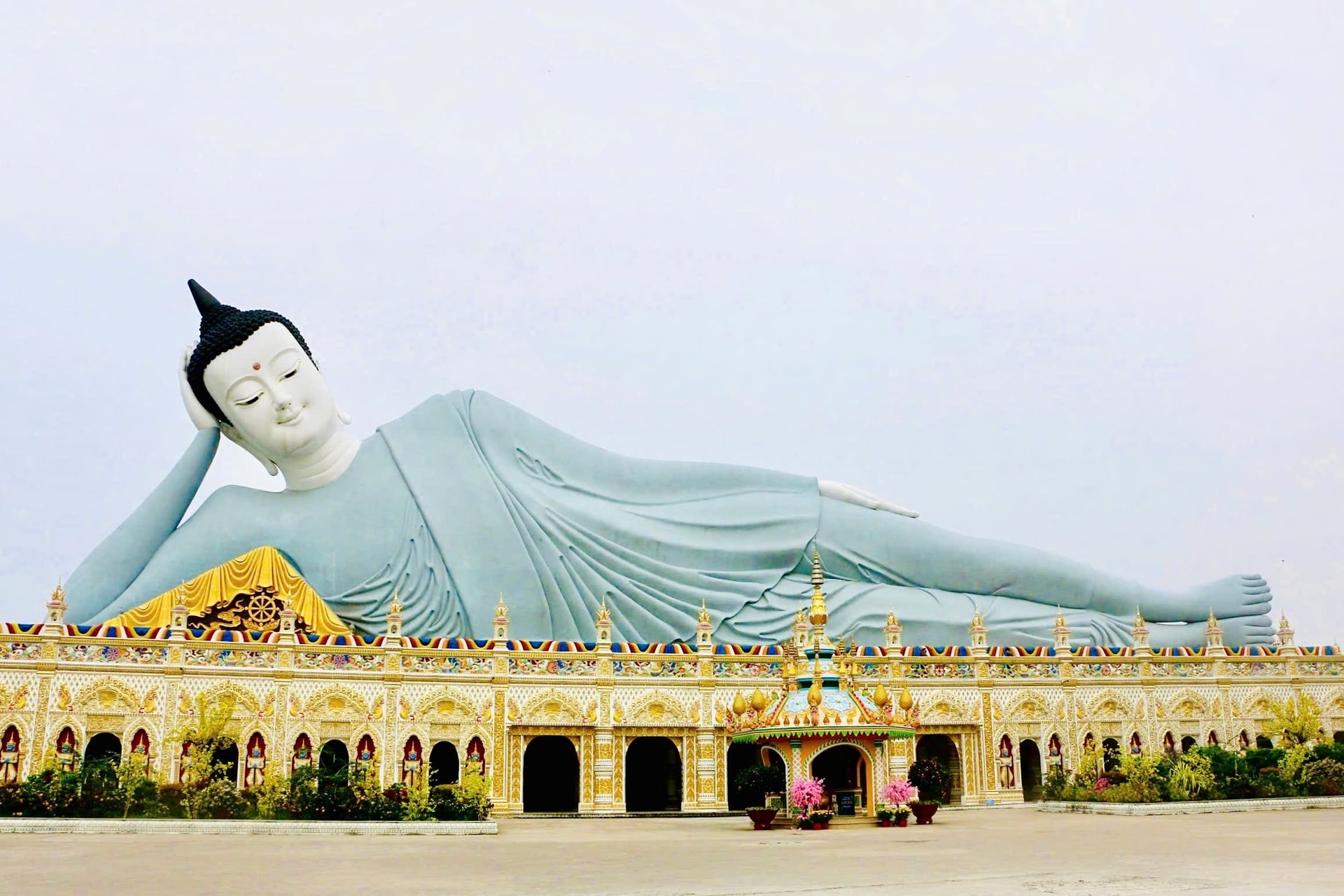 Độc lạ miền Tây: Ngôi chùa có kiến trúc độc đáo, thu hút hàng ngàn con cò đến nghe giảng kinh, xuất hiện trong 2 Ngày 1 đêm mà mãn nhãn trong từng cảnh quay - Ảnh 6.