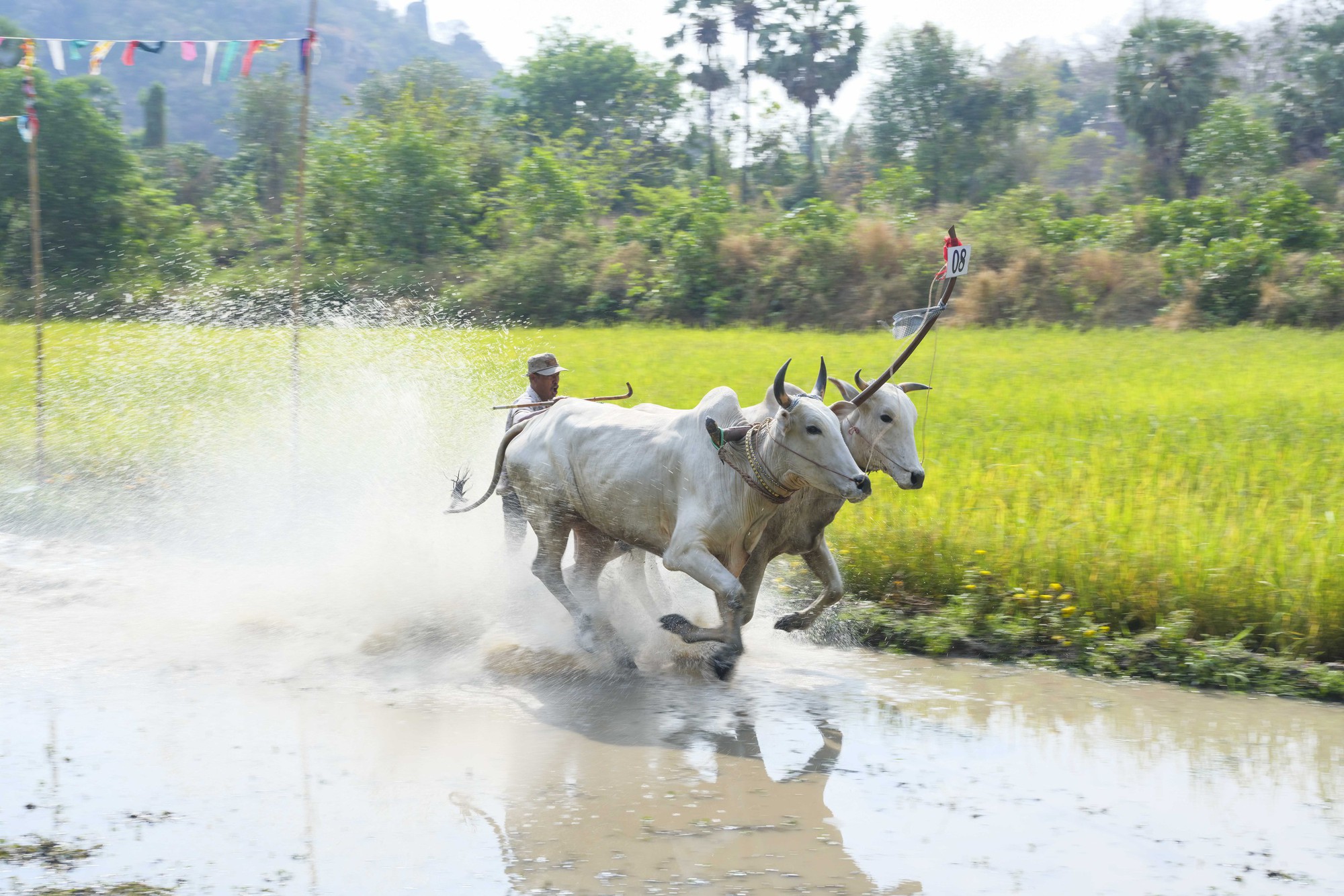 Hành trình khám phá di sản miền Tây: Gió sông, nắng đồng và những cung đường thong dong- Ảnh 3. Hành trình khám phá di sản miền Tây: Gió sông, nắng đồng và những cung đường thong dong- Ảnh 3.