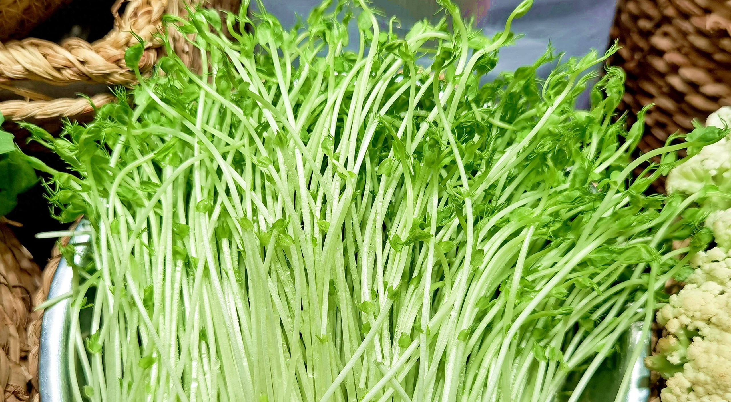 Mùa xuân, nếu không ăn 3 loại rau này thì quả là thiếu sót: Có tác dụng thanh nhiệt, sáng mắt, vừa bổ tỳ lại dưỡng dạ dày - Ảnh 1. Mùa xuân, nếu không ăn 3 loại rau này thì quả là thiếu sót: Có tác dụng thanh nhiệt, sáng mắt, vừa bổ tỳ lại dưỡng dạ dày - Ảnh 1.