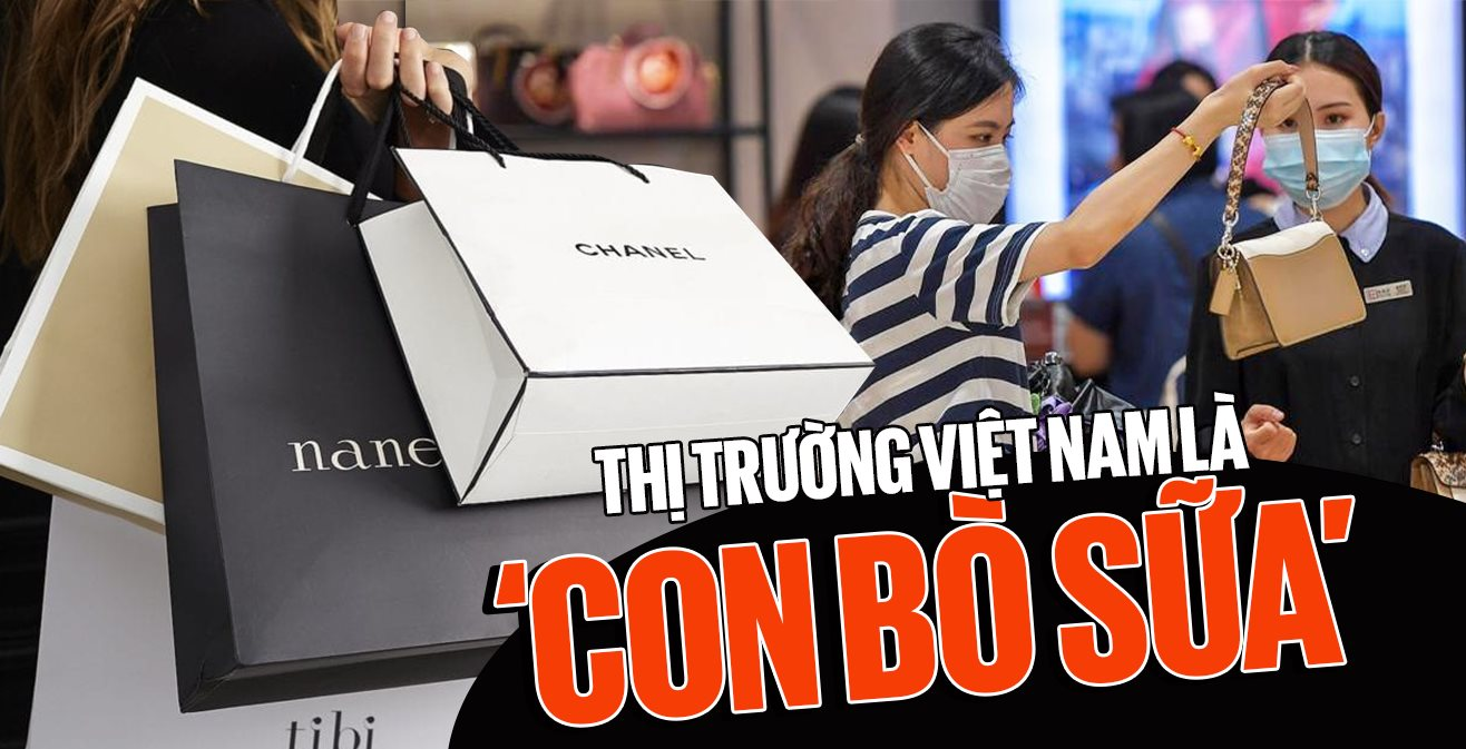 Toan tính của những Gucci, Dior, Louis Vuitton: Biến thị trường Việt Nam với 17 triệu người thuộc tầng lớp trung lưu thành ‘con bò sữa’? - Ảnh 1.