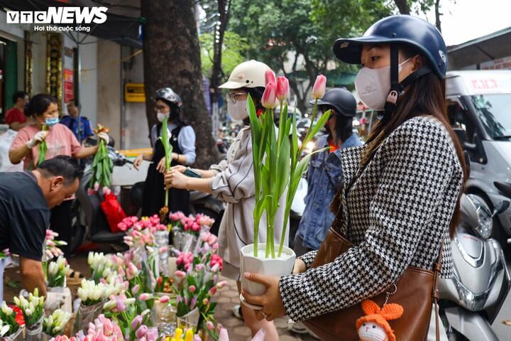 Khách hàng đổi 'gu', săn mua sen đá độc lạ dịp 8/3 - Ảnh 24.