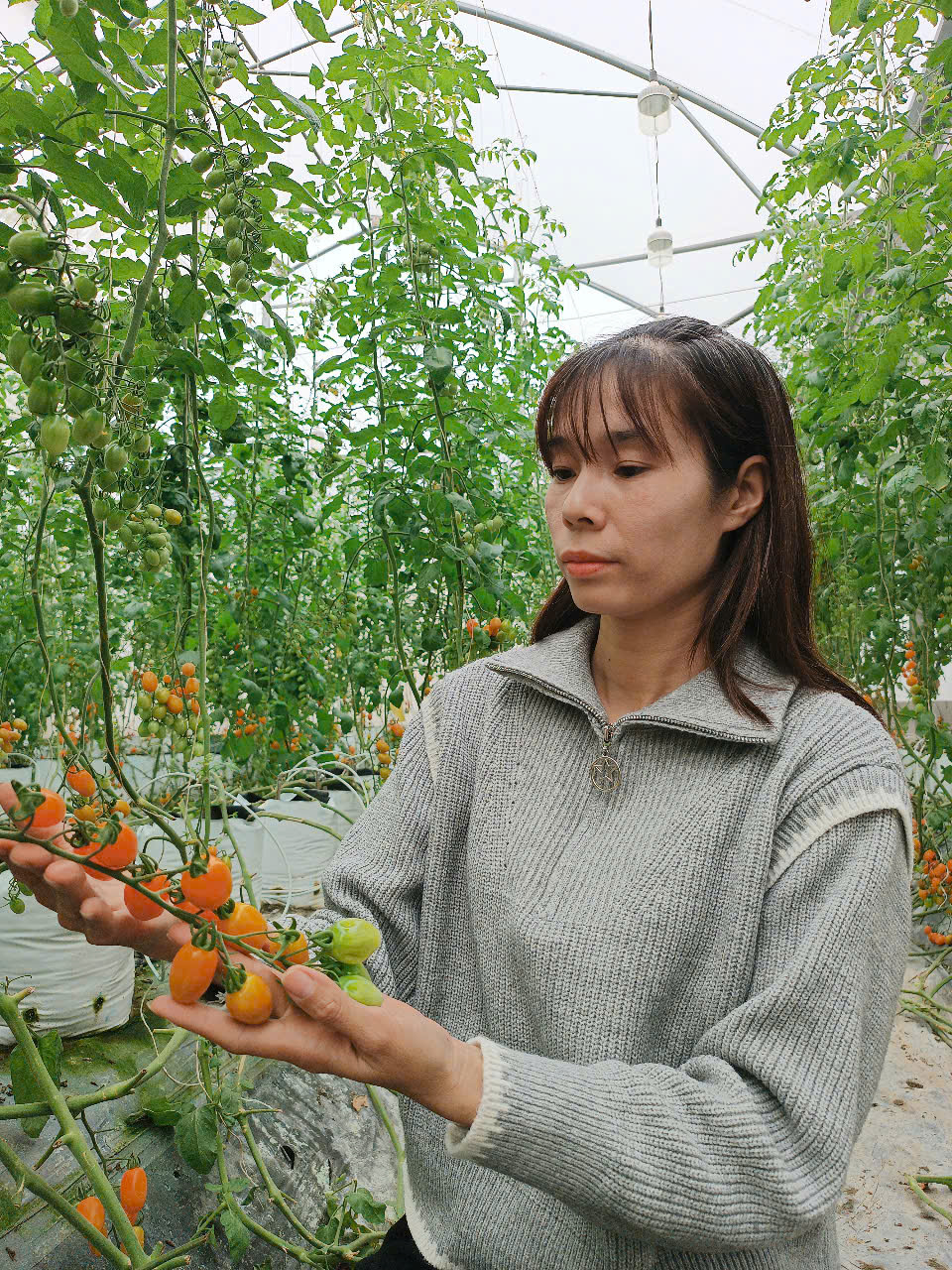 Nữ nhân viên văn phòng nghỉ việc về làm một thứ: Đất ruộng hóa 'vàng xanh', cơ ngơi 'phình ra' hơn 6 lần - Ảnh 1.