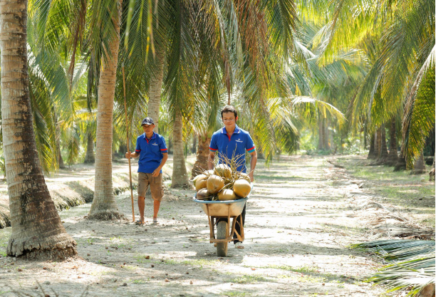 Vietcoco nỗ lực đổi mới để nâng cao giá trị dừa Việt trên trường quốc tế - Ảnh 1. Vietcoco nỗ lực đổi mới để nâng cao giá trị dừa Việt trên trường quốc tế - Ảnh 1.