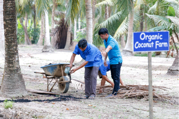 Vietcoco nỗ lực đổi mới để nâng cao giá trị dừa Việt trên trường quốc tế - Ảnh 2. Vietcoco nỗ lực đổi mới để nâng cao giá trị dừa Việt trên trường quốc tế - Ảnh 2.