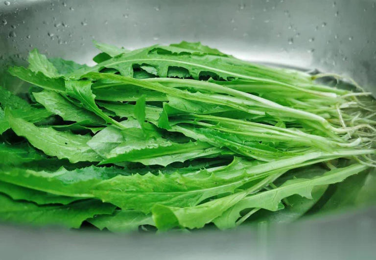 6 loại rau 
