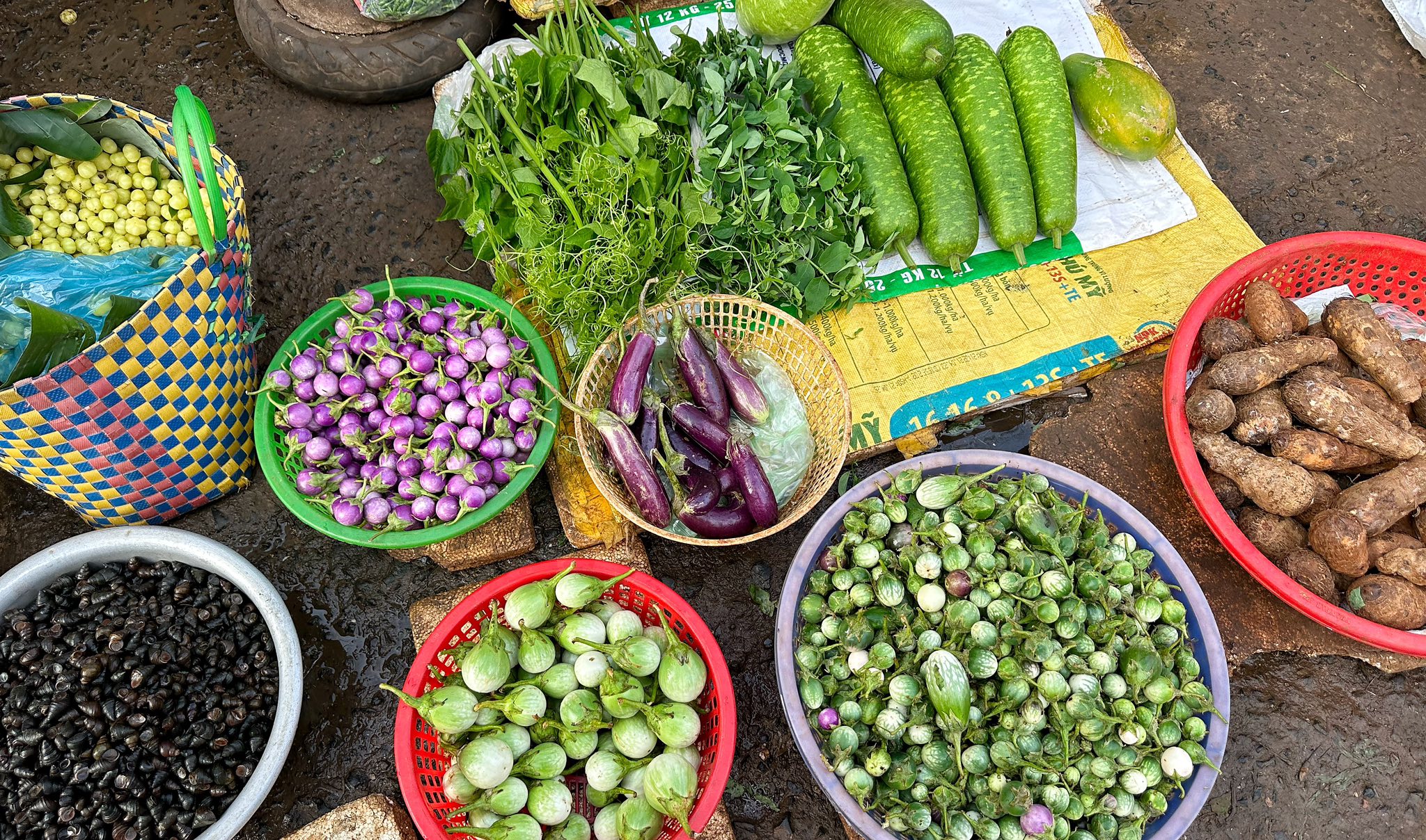Bộ ảnh 2 em bé Đắk Lắk khiến bao người mơ ước, trước cuộc sống an yên là quyết định "liều lĩnh" của ba mẹ - Ảnh 5. Bộ ảnh 2 em bé Đắk Lắk khiến bao người mơ ước, trước cuộc sống an yên là quyết định "liều lĩnh" của ba mẹ - Ảnh 5.