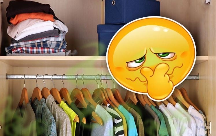 Tôi không mua viên khử mùi nữa: Chỉ với 5.000 đồng và một mẹo cực dễ, tủ đồ nhà tôi thơm mát suốt tháng - Ảnh 1. Tôi không mua viên khử mùi nữa: Chỉ với 5.000 đồng và một mẹo cực dễ, tủ đồ nhà tôi thơm mát suốt tháng - Ảnh 1.