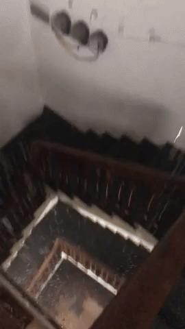 download-5-17458301546011772157099.gif