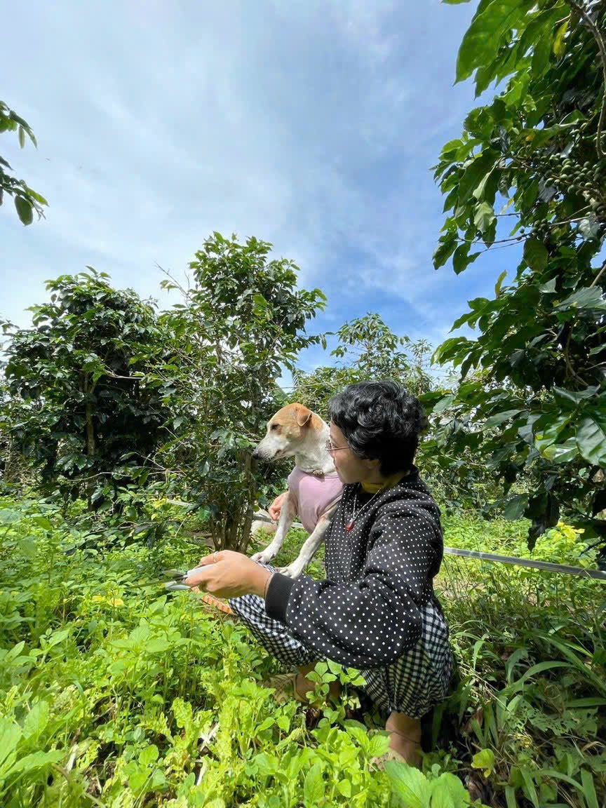 Người phụ nữ chọn bỏ phố về quê: Biết đủ là hạnh phúc - Ảnh 2. Người phụ nữ chọn bỏ phố về quê: Biết đủ là hạnh phúc - Ảnh 2.