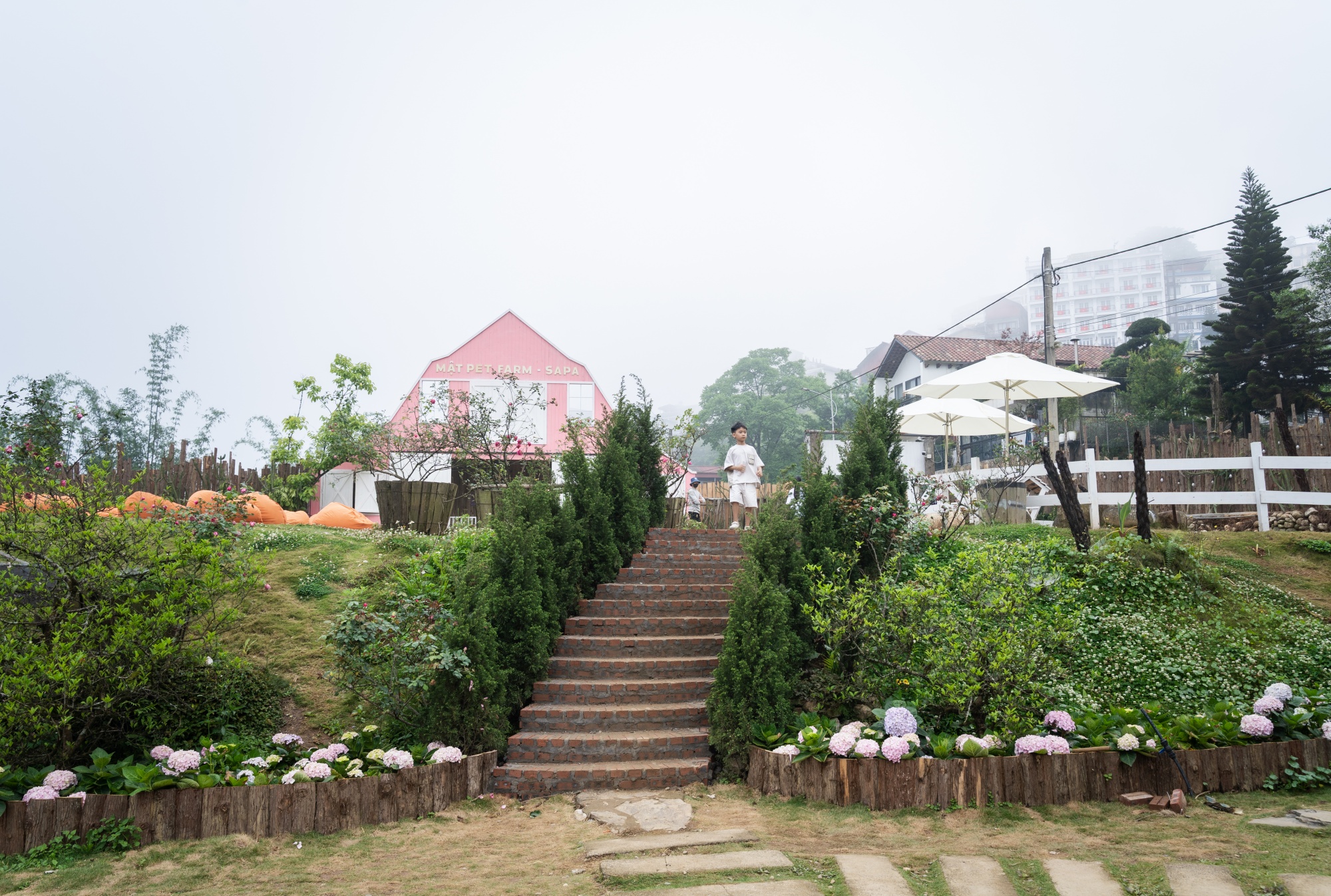 batchanh-268-1745946695761685270666.jpg