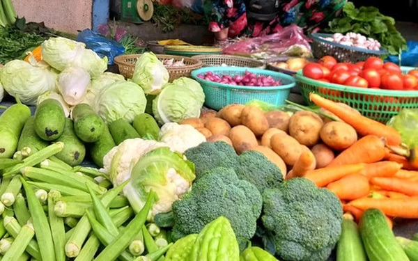 Sau khi nghỉ hưu, nhiều người lớn tuổi không quen ở không: 3 công việc này có thể giúp họ vừa bận rộn, vừa có thu nhập ổn định - Ảnh 3. Sau khi nghỉ hưu, nhiều người lớn tuổi không quen ở không: 3 công việc này có thể giúp họ vừa bận rộn, vừa có thu nhập ổn định - Ảnh 3.