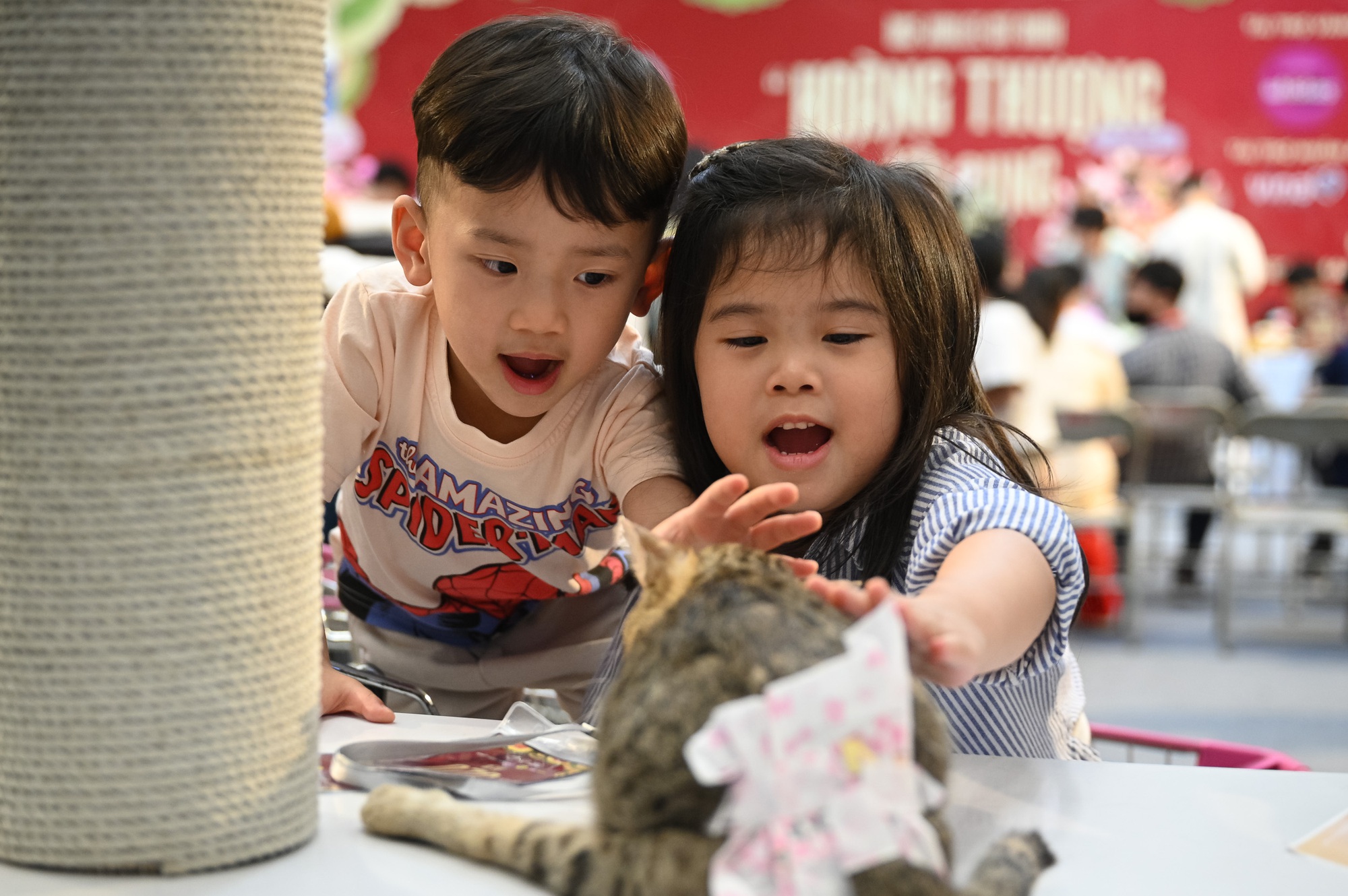 Trai xinh, gái đẹp đưa Trai xinh, gái đẹp đưa