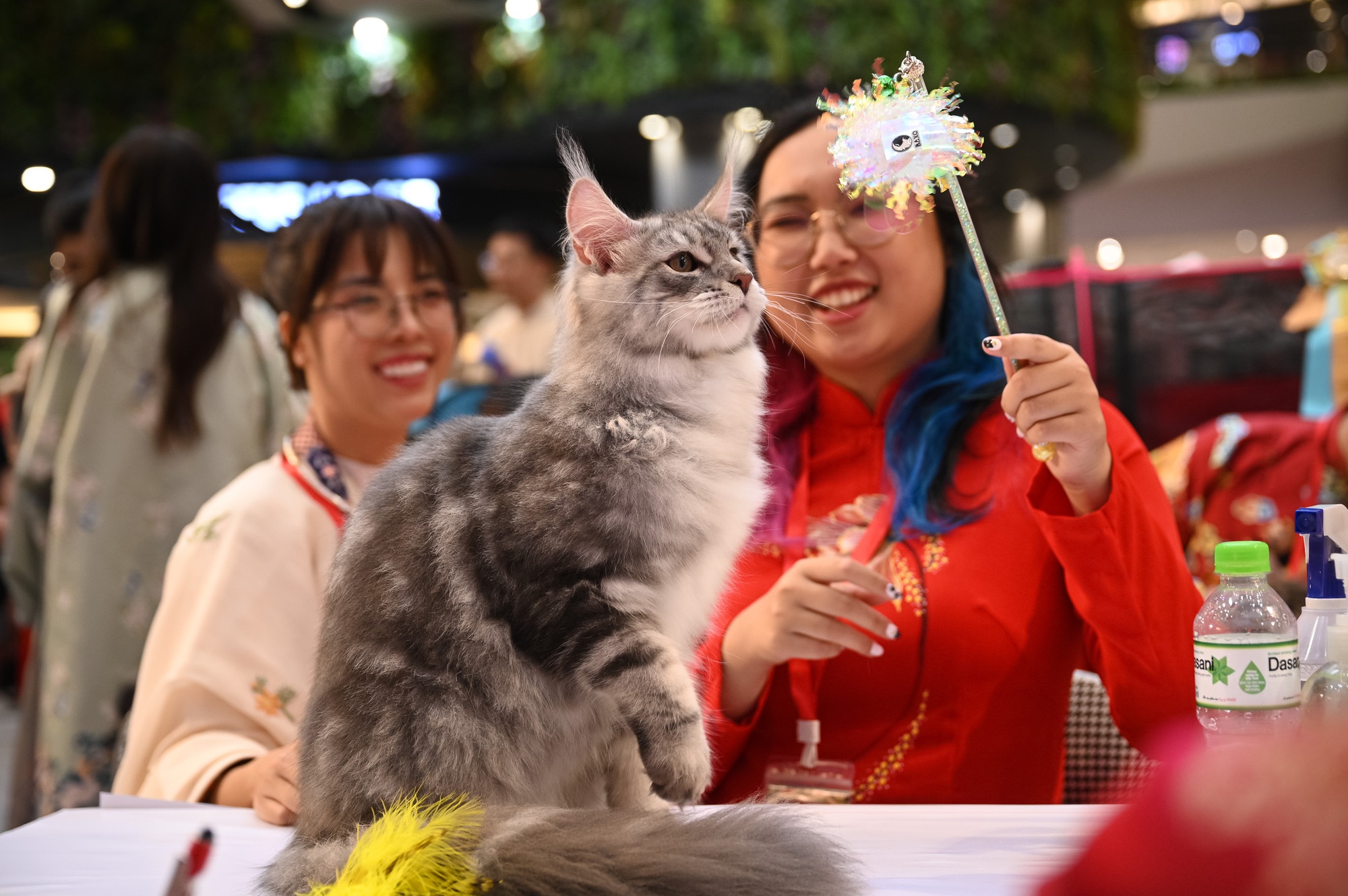Trai xinh, gái đẹp đưa Trai xinh, gái đẹp đưa