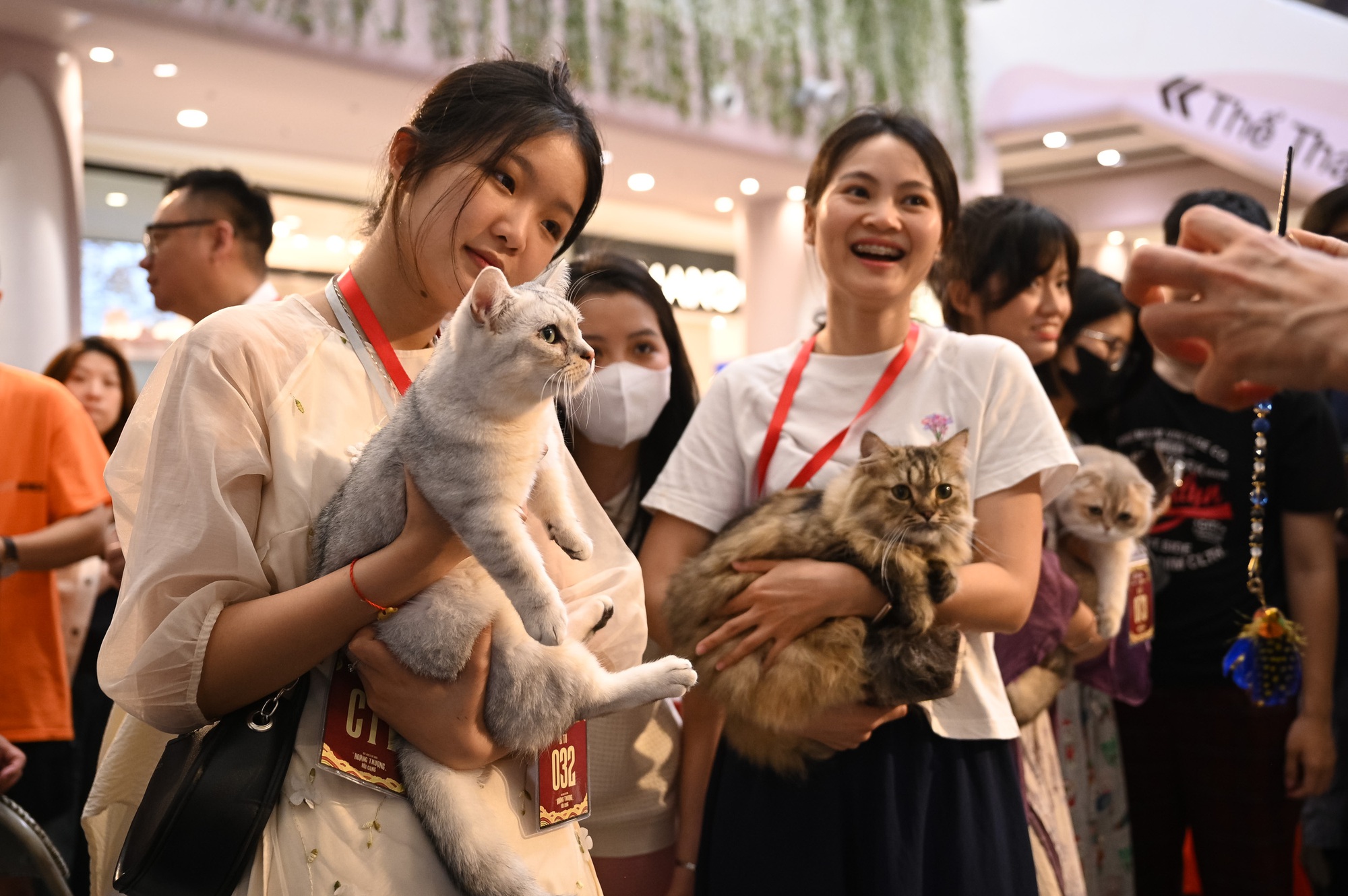 Trai xinh, gái đẹp đưa Trai xinh, gái đẹp đưa