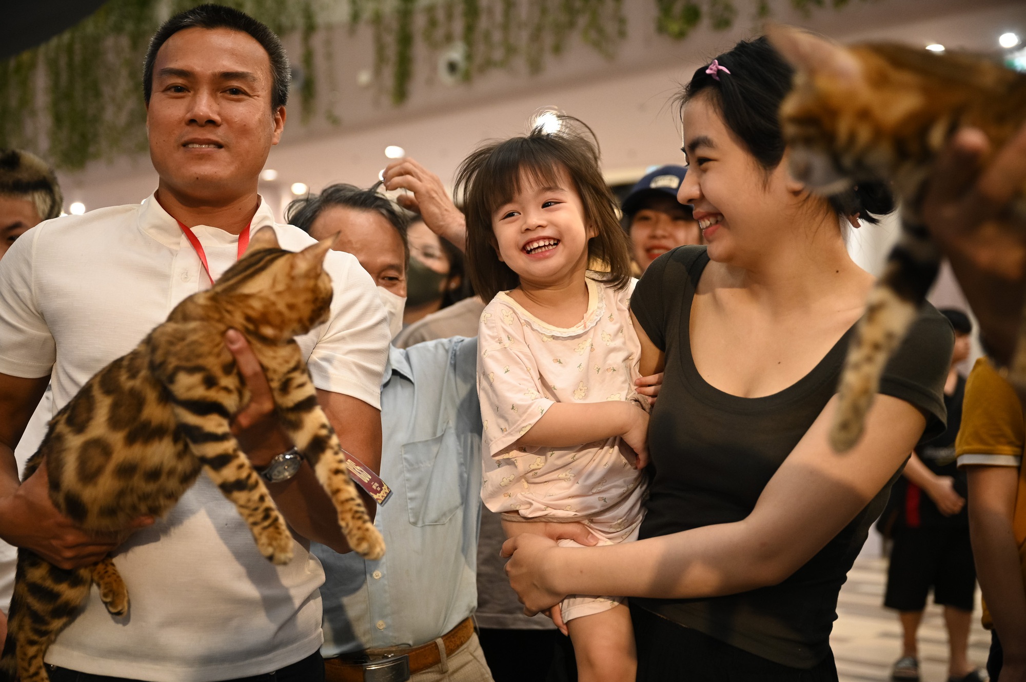 Trai xinh, gái đẹp đưa Trai xinh, gái đẹp đưa