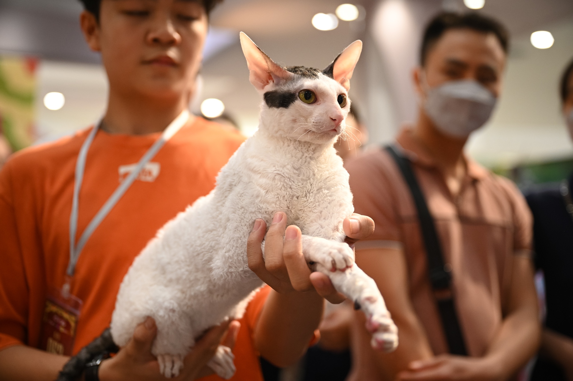 Trai xinh, gái đẹp đưa Trai xinh, gái đẹp đưa