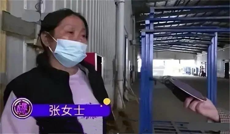 Cặp vợ chồng chi 6,1 tỷ đồng mua 493 tấn tỏi đem gửi kho lạnh, 1 năm sau đến lấy th&igrave; kh&ocirc;ng c&ograve;n 1kg n&agrave;o, chủ kho lạnh khẳng định: &ldquo;Kh&ocirc;ng li&ecirc;n quan n&ecirc;n kh&ocirc;ng bồi thường&rdquo; - Ảnh 1.