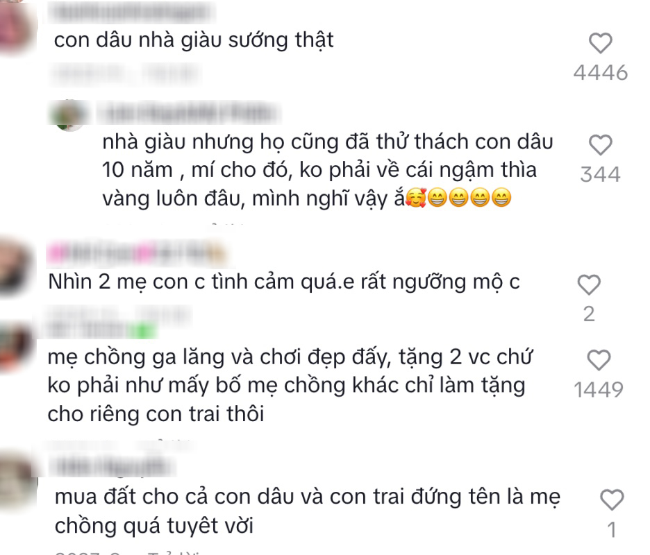 Cưng chiều con dâu như phú bà Mailisa:  - Ảnh 2.