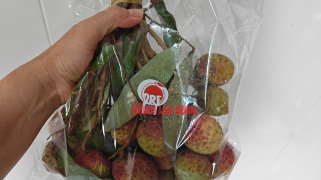 Vải Tây Nguyên đầu mùa giá cao đến khó tin- Ảnh 3. Vải Tây Nguyên đầu mùa giá cao đến khó tin- Ảnh 3.