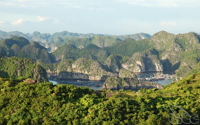 Bãi biển ở Cát Bà được mệnh danh là "thiên đường bí mật", nhiều người bất ngờ vì chưa từng nghe tên - Ảnh 12. Bãi biển ở Cát Bà được mệnh danh là "thiên đường bí mật", nhiều người bất ngờ vì chưa từng nghe tên - Ảnh 12.