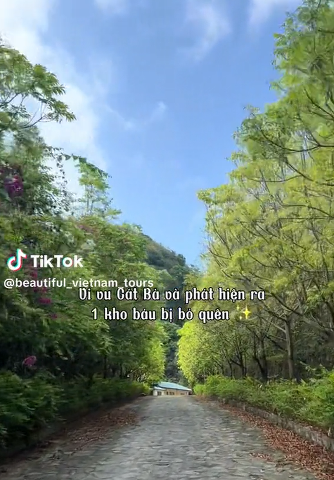 Bãi biển ở Cát Bà được mệnh danh là "thiên đường bí mật", nhiều người bất ngờ vì chưa từng nghe tên - Ảnh 2. Bãi biển ở Cát Bà được mệnh danh là "thiên đường bí mật", nhiều người bất ngờ vì chưa từng nghe tên - Ảnh 2.