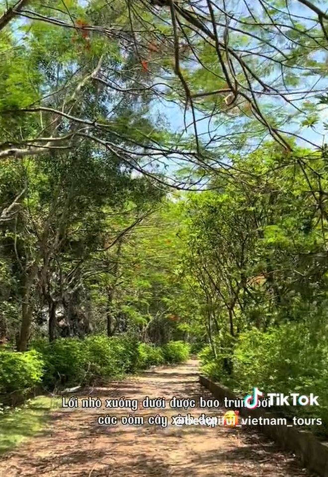 Bãi biển ở Cát Bà được mệnh danh là "thiên đường bí mật", nhiều người bất ngờ vì chưa từng nghe tên - Ảnh 3. Bãi biển ở Cát Bà được mệnh danh là "thiên đường bí mật", nhiều người bất ngờ vì chưa từng nghe tên - Ảnh 3.