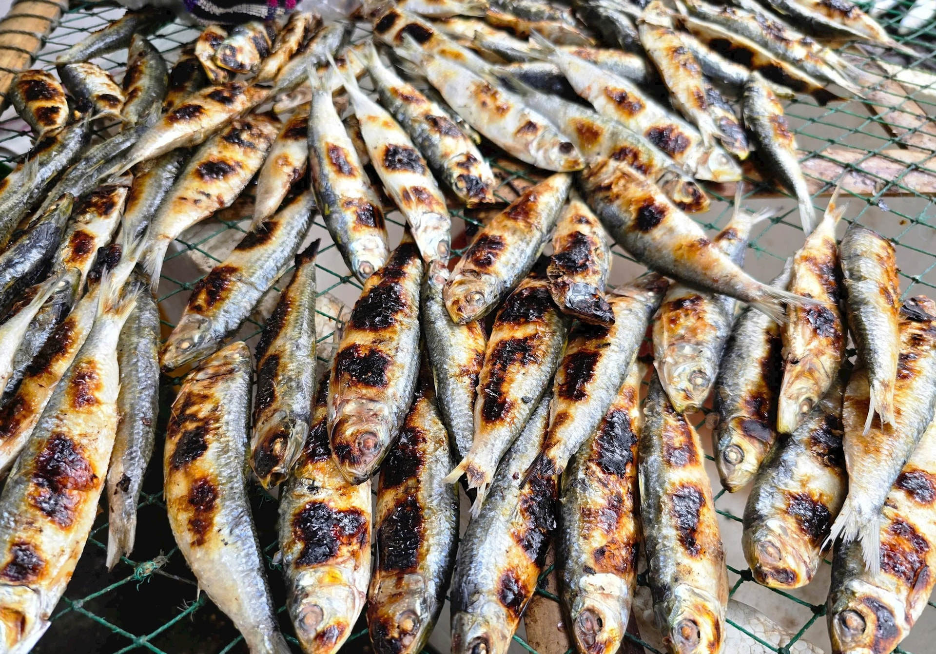 3 loại cá 3 loại cá