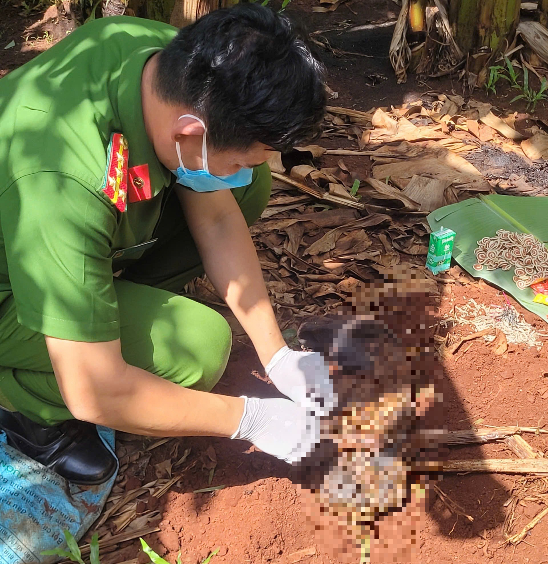 Phát hiện thi thể trẻ sơ sinh trong khu vườn ở Bà Rịa - Vũng Tàu - Ảnh 2. Phát hiện thi thể trẻ sơ bọc trong túi đen vứt ở vườn chuối - Ảnh 2.