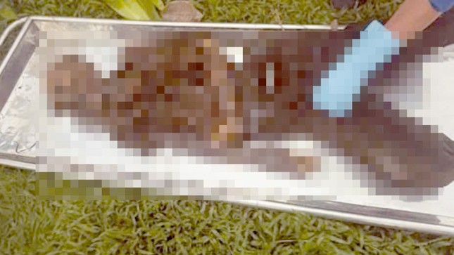 T&igrave;m th&acirc;n nh&acirc;n bộ xương người được ph&aacute;t hiện dưới ch&acirc;n cầu ở TPHCM - Ảnh 1.