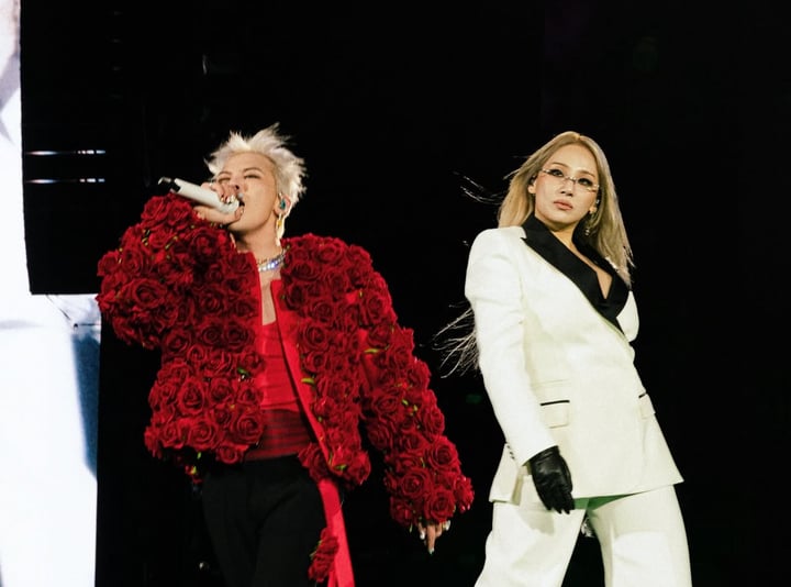 gd-15221850-1747127248627-1747127255388699331532.jpg