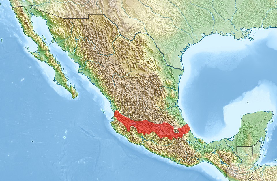 788 cổ vật hắc diện thạch tiết lộ điều ngạc nhiên về Đế chế Aztec- Ảnh 4. 788 cổ vật hắc diện thạch tiết lộ điều ngạc nhiên về Đế chế Aztec- Ảnh 4.