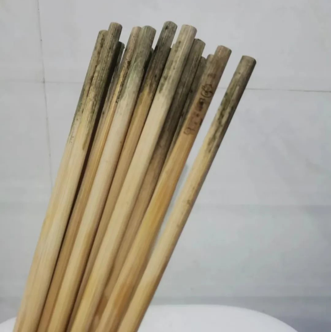 Nguy cơ mắc ung thư chỉ vì 5 thói quen tưởng Nguy cơ mắc ung thư chỉ vì 5 thói quen tưởng