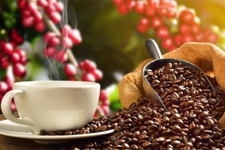 Giá cà phê hôm nay 14/5: Trong nước giảm mạnh, thế giới tăng - Ảnh 1. Giá cà phê hôm nay 14/5: Trong nước giảm mạnh, thế giới tăng - Ảnh 1.