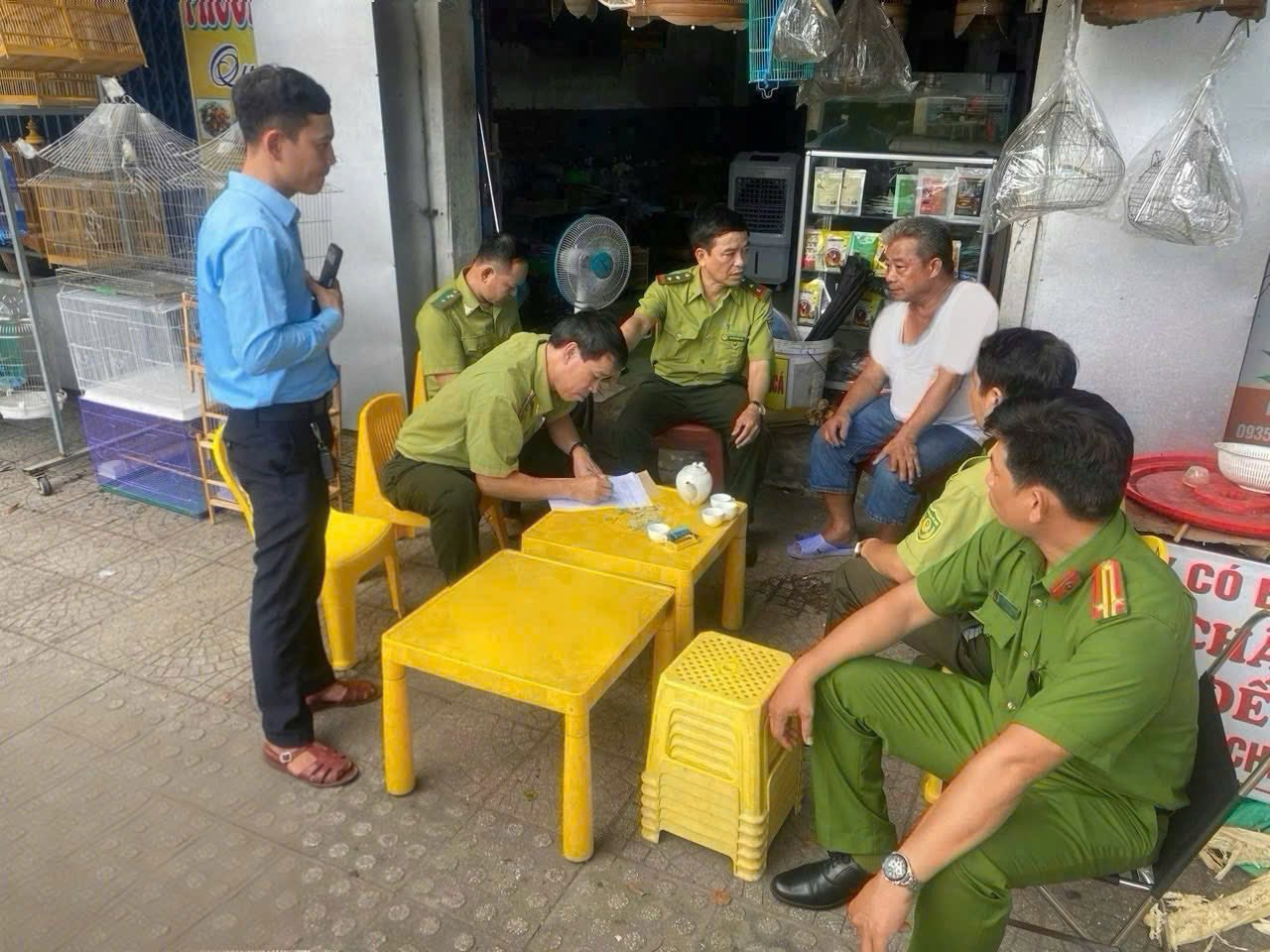 Huế: Mang chim đến quán cà phê phải có giấy tờ hợp pháp - Ảnh 1. Huế: Mang chim đến quán cà phê phải có giấy tờ hợp pháp - Ảnh 1.
