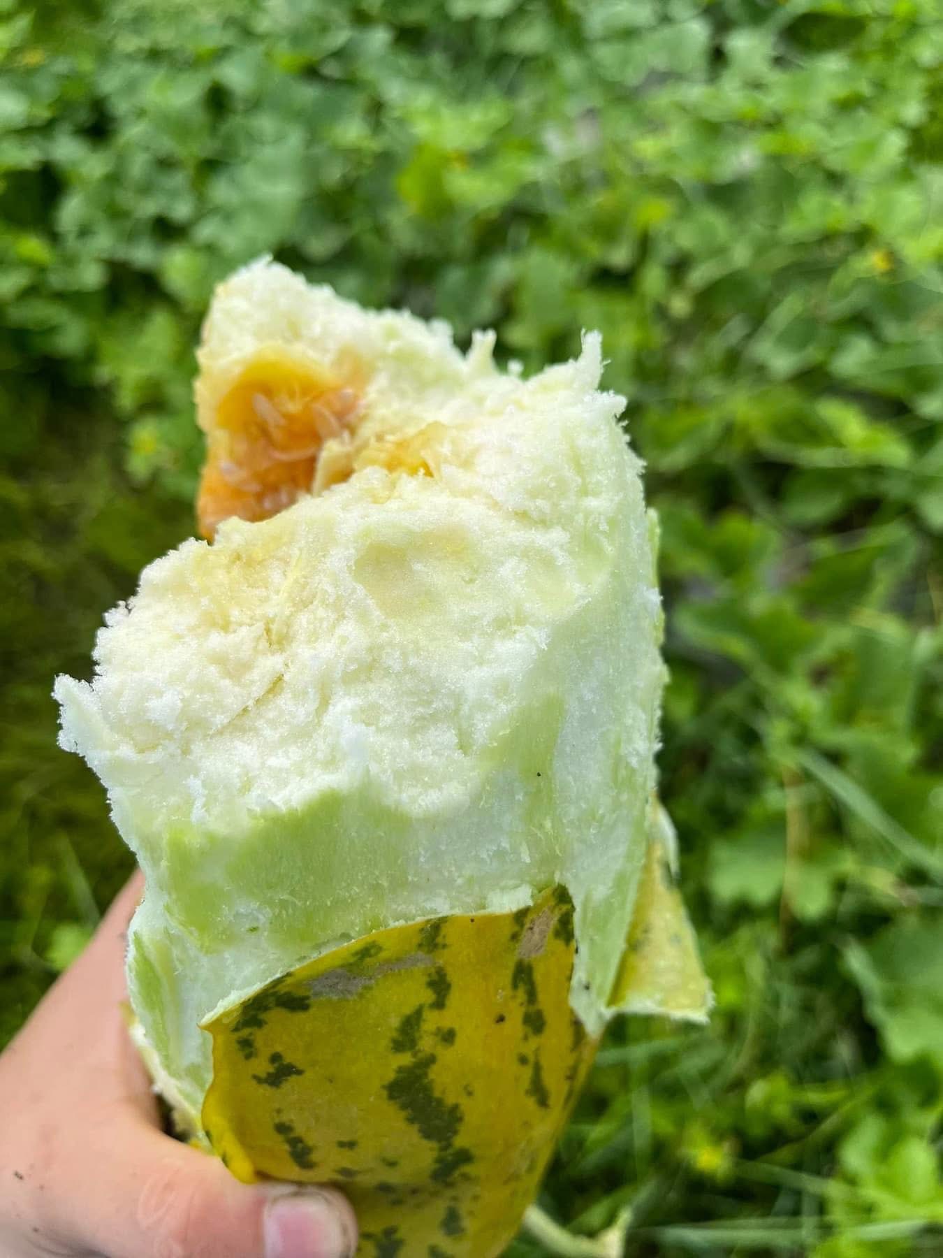 Loại quả rẻ bèo, không lo "ngậm" thuốc trừ sâu được ví như “quốc hồn quốc tuý” ở miền Bắc dịp hè - Ảnh 8. Loại quả rẻ bèo, không lo "ngậm" thuốc trừ sâu được ví như “quốc hồn quốc tuý” ở miền Bắc dịp hè - Ảnh 8.