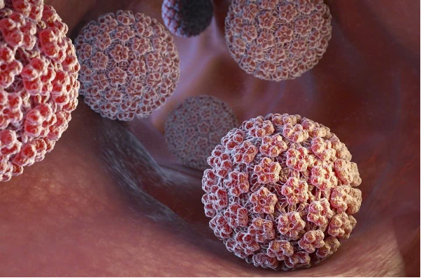 Chủ động bảo vệ sức khỏe sinh sản với vắc xin HPV - Ảnh 1. Chủ động bảo vệ sức khỏe sinh sản với vắc xin HPV - Ảnh 1.