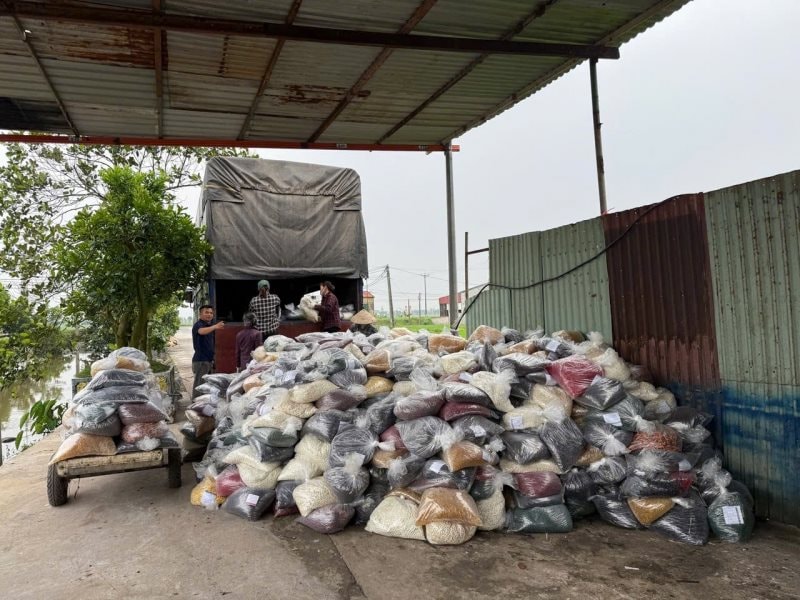 Đường dây 100 tấn thực phẩm chức năng giả: Nguyên Cục trưởng Nguyễn Thanh Phong nói về 5 lần nhận tiền - Ảnh 3. Đường dây 100 tấn thực phẩm chức năng giả: Nguyên Cục trưởng Nguyễn Thanh Phong nói về 5 lần nhận tiền - Ảnh 3.