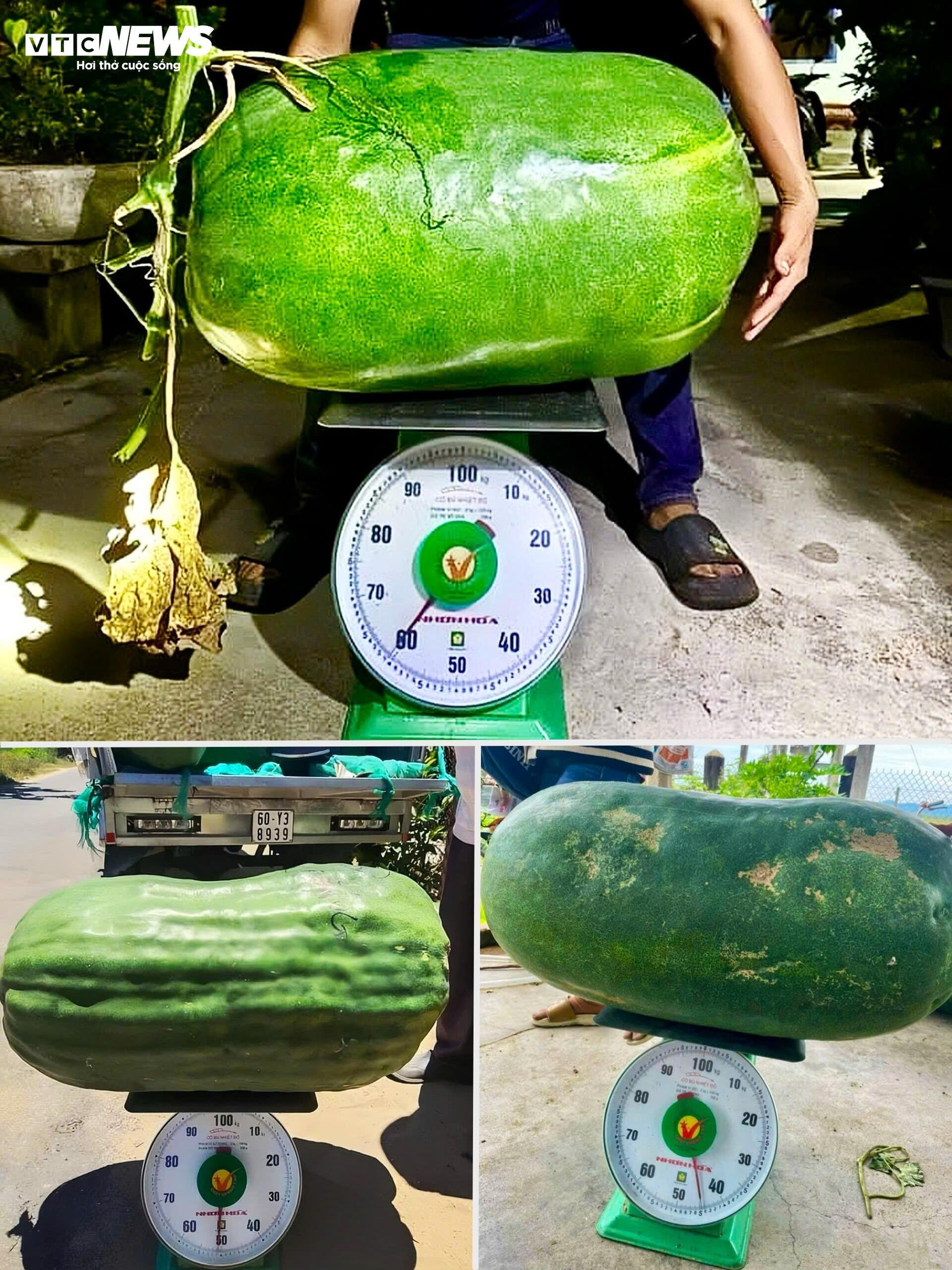 bi-dao-khong-lo7-00443316-1747267804544-17472678047011081432222.jpg