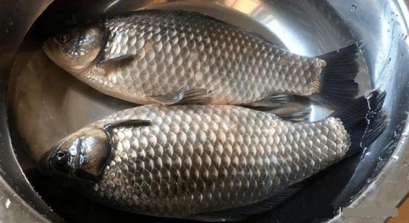 Các cụ dặn: Các cụ dặn: