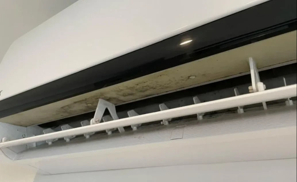 6 vật ngày nào cũng dùng dễ là ổ nấm mốc, bẩn kinh hoàng lại lăm le gây bệnh cho người- Ảnh 8. 6 vật ngày nào cũng dùng dễ là ổ nấm mốc, bẩn kinh hoàng lại lăm le gây bệnh cho người- Ảnh 8.