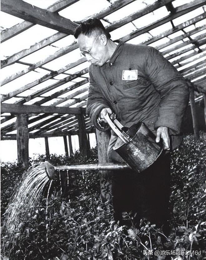 Sau khi trở thành dân thường, Phổ Nghi xin làm 2 nghề này nhưng đều bị từ chối, lý do vì sao?- Ảnh 2. Sau khi trở thành dân thường, Phổ Nghi xin làm 2 nghề này nhưng đều bị từ chối, lý do vì sao?- Ảnh 2.